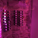 Visio Cloud customer photo of entrance to wine cellar using visio cloud 2 x 16 bottle holders on the walls leading to cellar